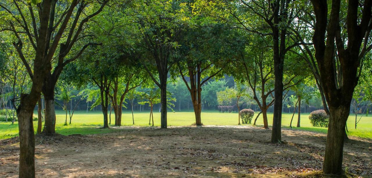 Guilin Yi Characteristic Hotel Coltd المظهر الخارجي الصورة